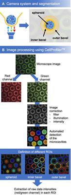 O2-sensitive microcavity arrays: A new platform for oxygen measurements in 3D cell cultures